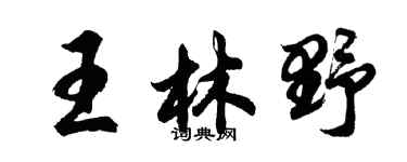 胡问遂王林野行书个性签名怎么写
