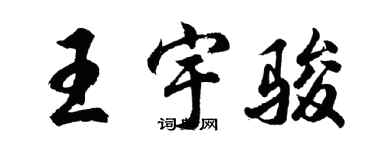胡问遂王宇骏行书个性签名怎么写