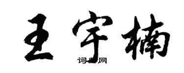 胡问遂王宇楠行书个性签名怎么写