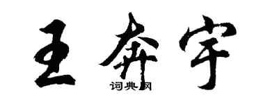 胡问遂王奔宇行书个性签名怎么写