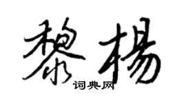 王正良黎杨行书个性签名怎么写