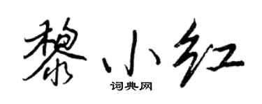 王正良黎小红行书个性签名怎么写