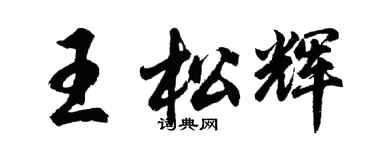 胡问遂王松辉行书个性签名怎么写