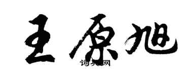 胡问遂王原旭行书个性签名怎么写
