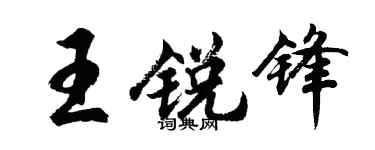 胡问遂王锐锋行书个性签名怎么写