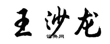 胡问遂王沙龙行书个性签名怎么写