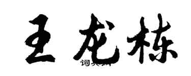 胡问遂王龙栋行书个性签名怎么写