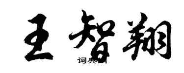 胡问遂王智翔行书个性签名怎么写