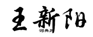 胡问遂王新阳行书个性签名怎么写