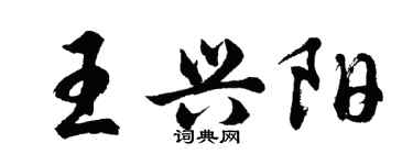 胡问遂王兴阳行书个性签名怎么写