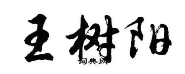胡问遂王树阳行书个性签名怎么写
