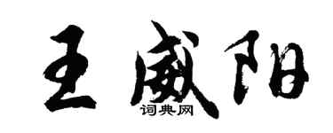 胡问遂王威阳行书个性签名怎么写