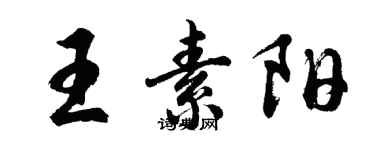 胡问遂王素阳行书个性签名怎么写