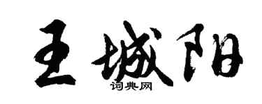 胡问遂王城阳行书个性签名怎么写