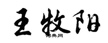 胡问遂王牧阳行书个性签名怎么写