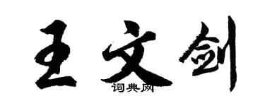 胡问遂王文剑行书个性签名怎么写