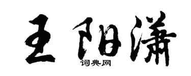 胡问遂王阳潇行书个性签名怎么写
