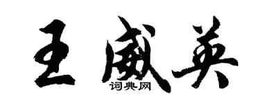 胡问遂王威英行书个性签名怎么写