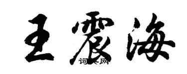 胡问遂王震海行书个性签名怎么写