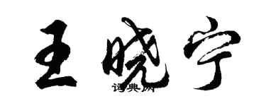 胡问遂王晓宁行书个性签名怎么写