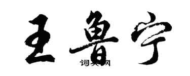 胡问遂王鲁宁行书个性签名怎么写