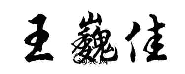 胡问遂王巍佳行书个性签名怎么写