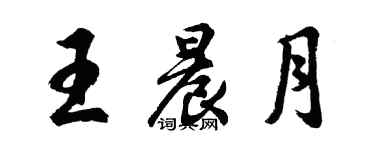 胡问遂王晨月行书个性签名怎么写