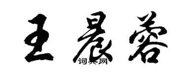 胡问遂王晨蓉行书个性签名怎么写