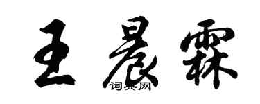 胡问遂王晨霖行书个性签名怎么写
