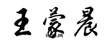 胡问遂王蒙晨行书个性签名怎么写