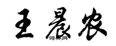 胡问遂王晨农行书个性签名怎么写