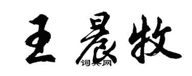 胡问遂王晨牧行书个性签名怎么写