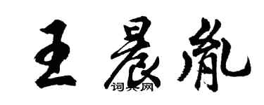 胡问遂王晨胤行书个性签名怎么写
