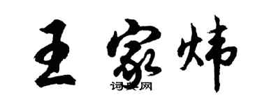 胡问遂王家炜行书个性签名怎么写