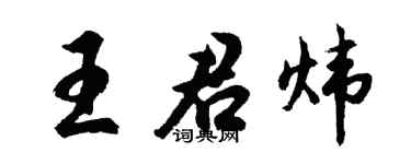 胡问遂王君炜行书个性签名怎么写