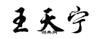 胡问遂王天宁行书个性签名怎么写
