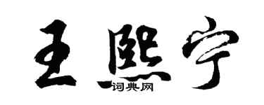 胡问遂王熙宁行书个性签名怎么写