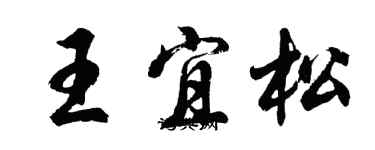 胡问遂王宜松行书个性签名怎么写
