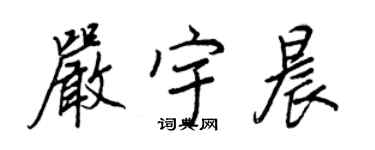 王正良严宇晨行书个性签名怎么写