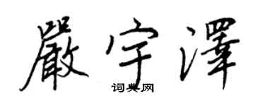 王正良严宇泽行书个性签名怎么写