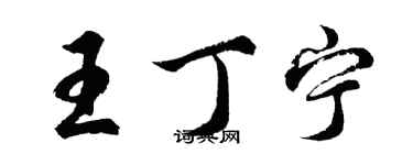 胡问遂王丁宁行书个性签名怎么写