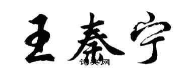 胡问遂王秦宁行书个性签名怎么写