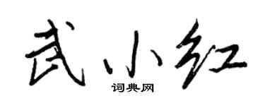 王正良武小红行书个性签名怎么写