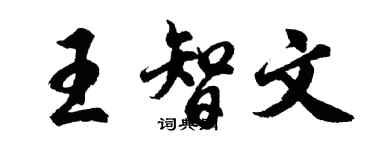 胡问遂王智文行书个性签名怎么写