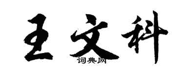 胡问遂王文科行书个性签名怎么写