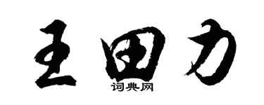 胡问遂王田力行书个性签名怎么写