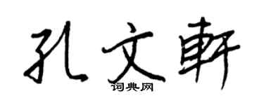 王正良孔文轩行书个性签名怎么写