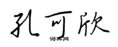 王正良孔可欣行书个性签名怎么写