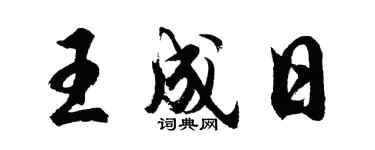 胡问遂王成日行书个性签名怎么写