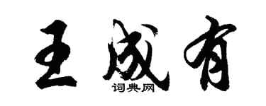 胡问遂王成有行书个性签名怎么写